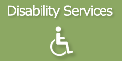 Disability Services Button